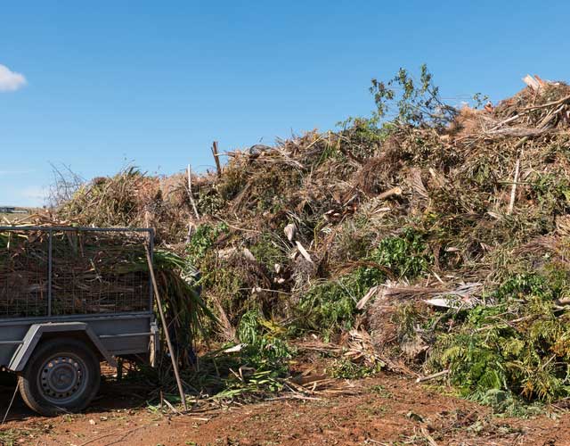 Gold Coast Green Waste Removal
